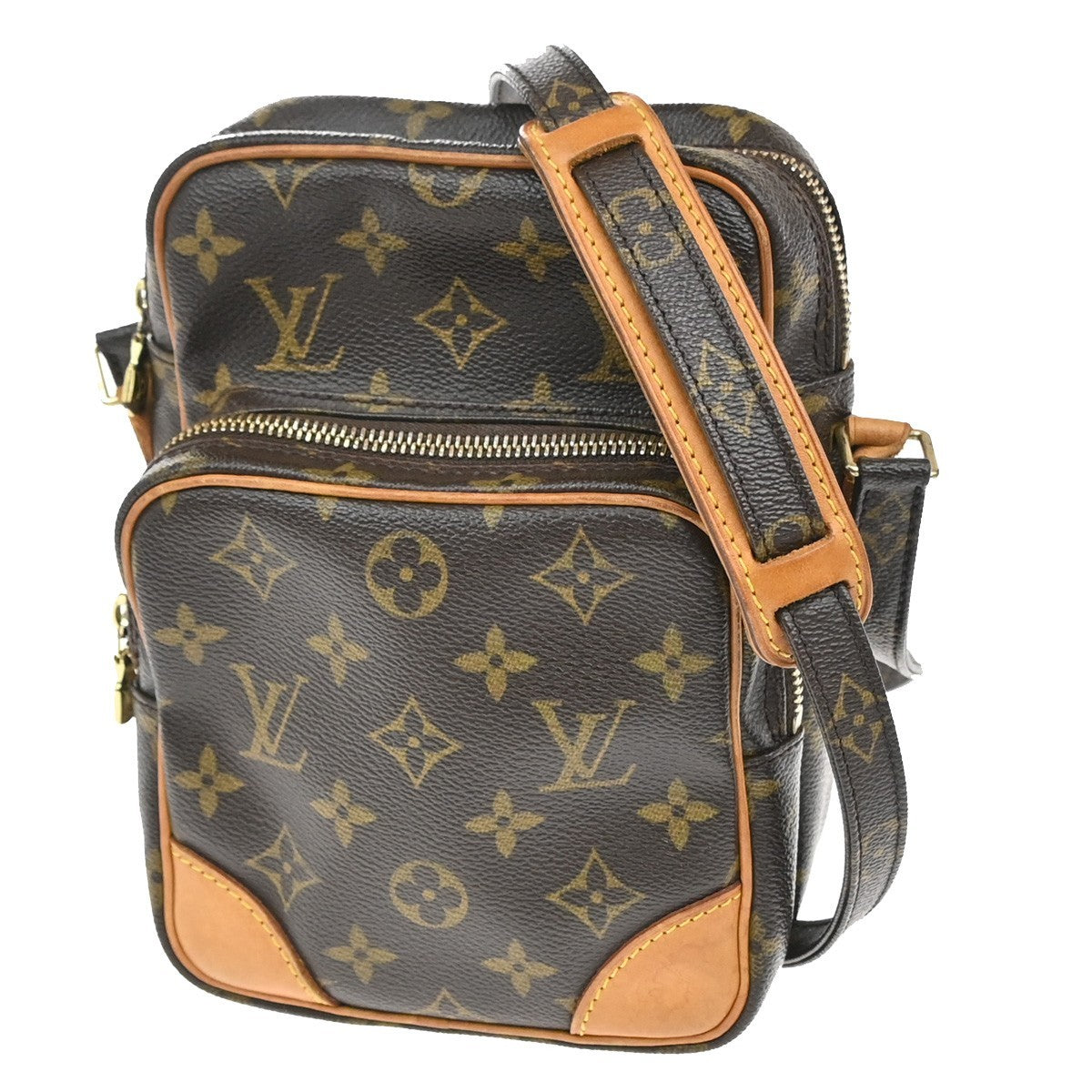 Louis Vuitton Amazone Bag Monogram Canvas PM - image 1