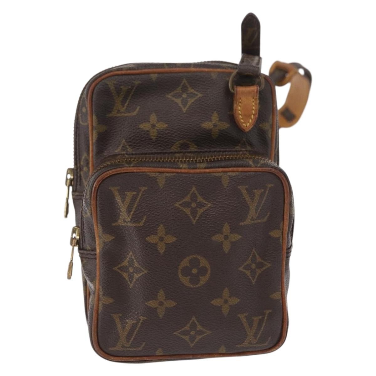 Louis Vuitton Amazone Bag Monogram Canvas PM - image 1