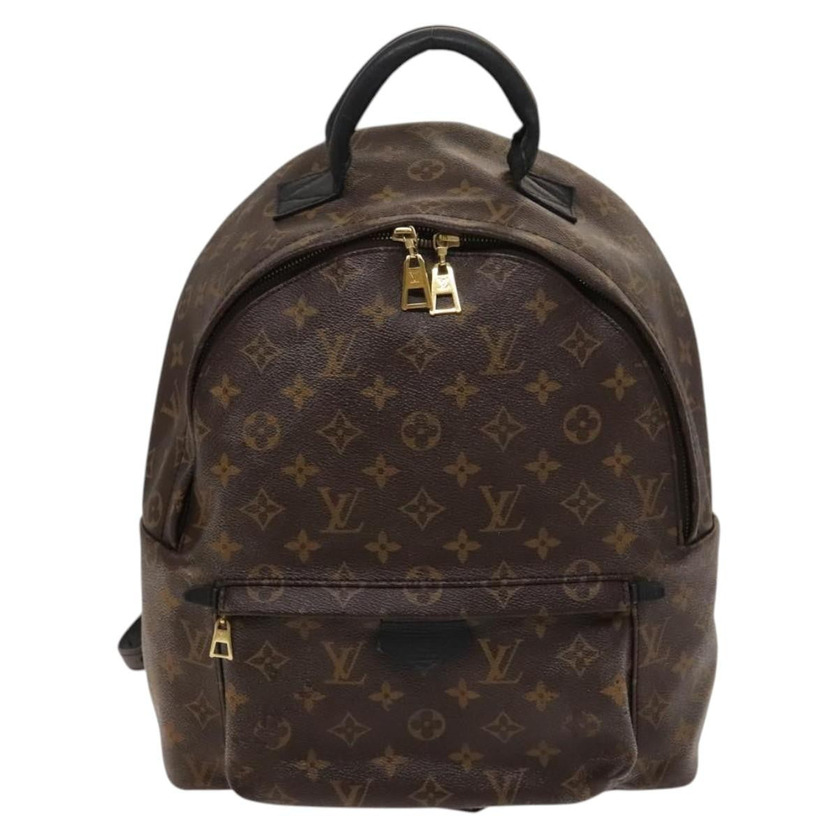 Louis Vuitton Palm Springs Backpack Monogram Canvas MM - image 1