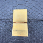 Celine Triomphe Shoulder Bag Python - image 7