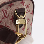 Louis Vuitton Camera Bag Mini Lin - image 18