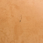 Louis Vuitton Alma Handbag Monogram Canvas PM - image 12