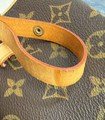 Louis Vuitton Florentine Waist Bag Monogram Canvas medium - image 16