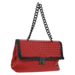 Bottega Veneta Glass Shoulder Bag Intrecciato Nappa with Snakeskin Small - image 19
