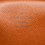 Louis Vuitton Amazone Bag Monogram Canvas Mini - image 4