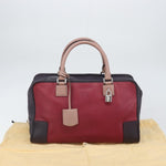 Loewe Amazona Bag Leather 28 - image 14