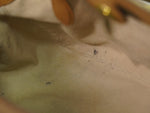 Prada Vintage Handbag Leather - image 19