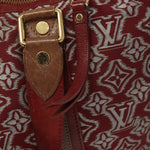 Louis Vuitton Aviator Handbag Limited Edition Monogram Jacquard - image 19