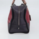 Loewe Amazona Bag Leather 28 - image 3