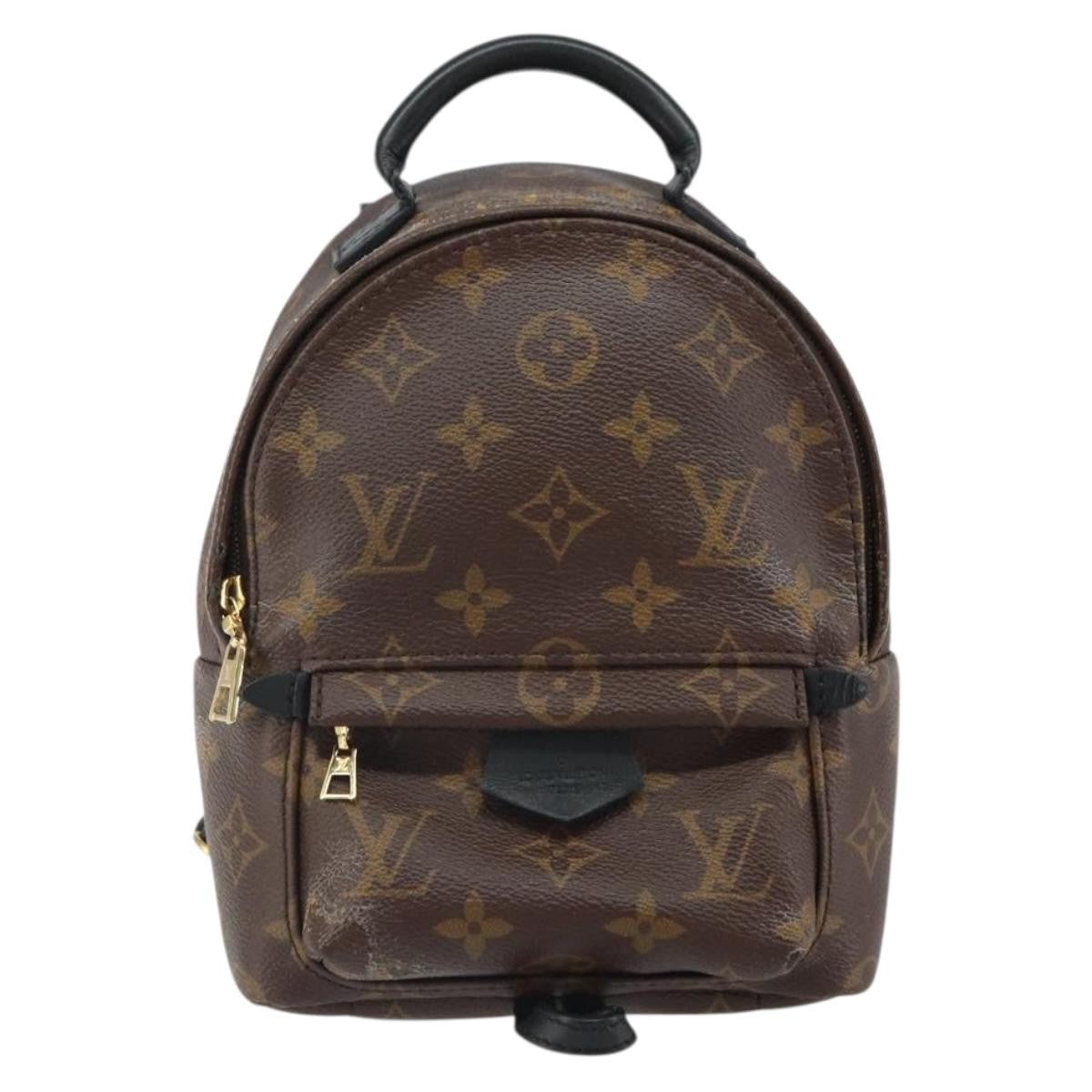 Louis Vuitton Palm Springs Backpack Monogram Canvas Mini - image 1
