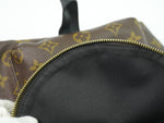 Louis Vuitton Palm Springs Backpack Monogram Canvas PM - image 20