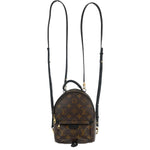 Louis Vuitton Palm Springs Backpack Monogram Canvas Mini - image 1