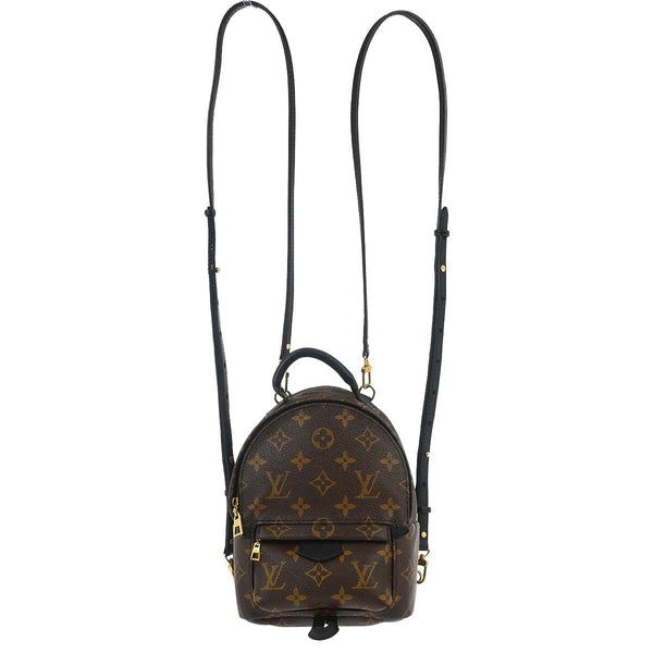 Louis Vuitton Palm Springs Backpack Monogram Canvas Mini - image 1