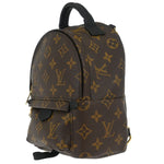 Louis Vuitton Palm Springs Backpack Monogram Canvas Mini - image 3