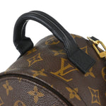 Louis Vuitton Palm Springs Backpack Monogram Canvas Mini - image 7
