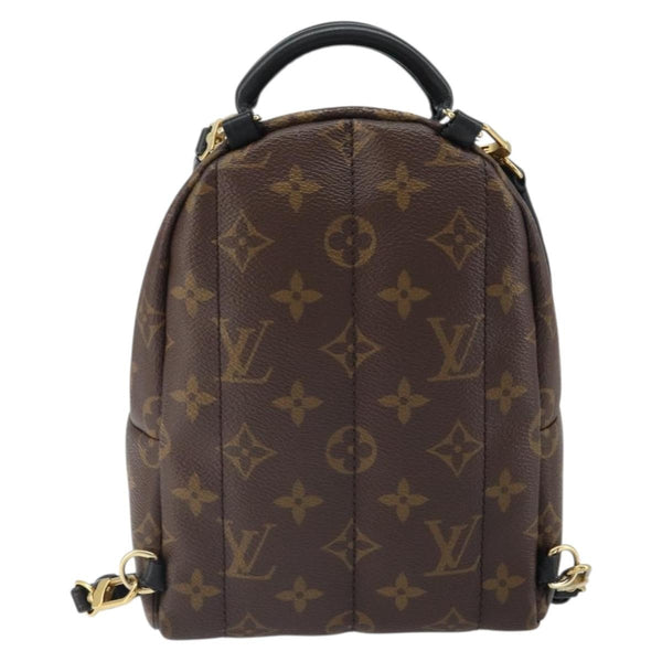 Louis Vuitton Palm Springs Backpack Monogram Canvas Mini