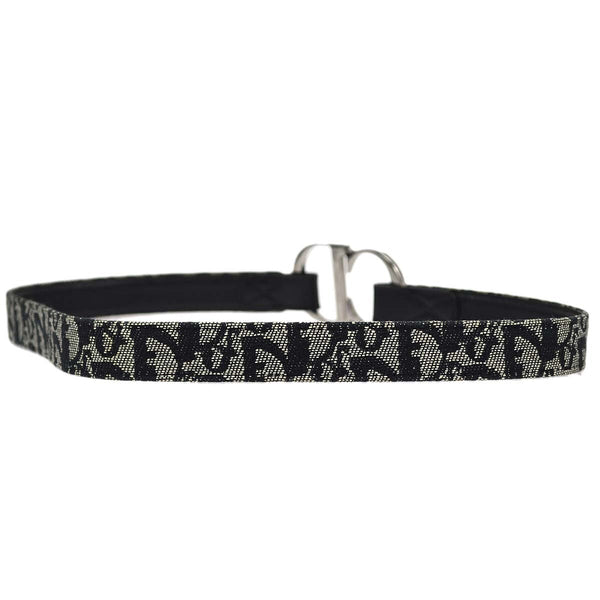 Christian Dior Vintage belt Canvas