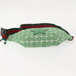 Gucci Waist Pouch Belt Bag GG Canvas - image 17