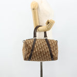 Christian Dior Vintage Trotter Handbag Canvas - image 20