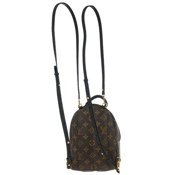 Louis Vuitton Palm Springs Backpack Monogram Canvas Mini