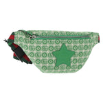 Gucci Waist Pouch Belt Bag GG Canvas - image 20