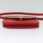 Celine Vintage Triomphe Shoulder Bag Leather Medium - image 15