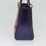 Christian Dior Lady Dior Bag Anselm Reyle Cannage Quilt Leather Medium - image 3