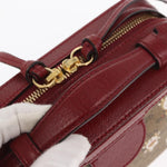 Gucci Doraemon Ophidia Zip Around Camera Bag Printed Mini GG Coated Canvas Mini - image 8