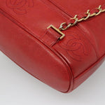Chanel Vintage Backpack Caviar Medium - image 10