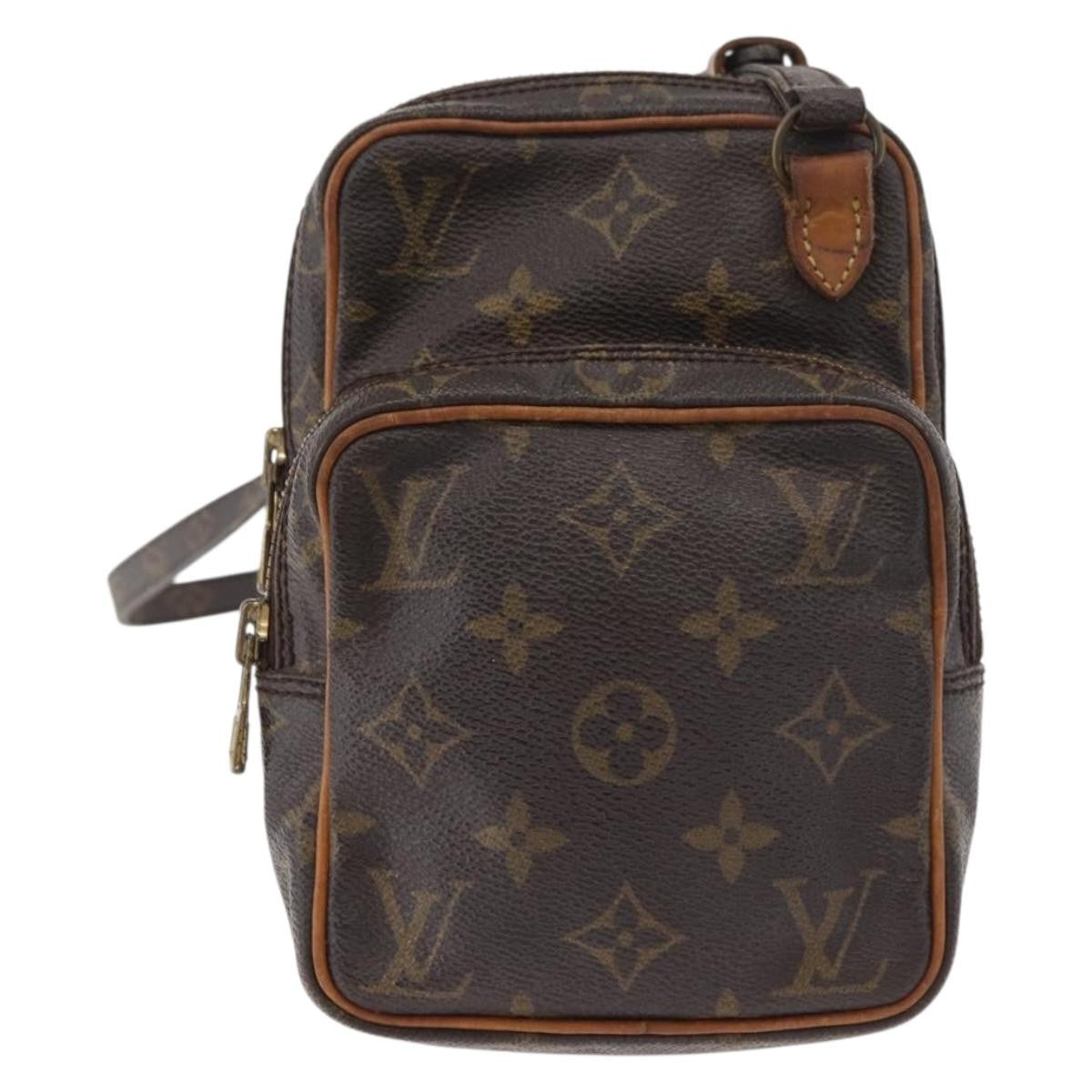 Louis Vuitton Amazone Bag Monogram Canvas PM - image 1