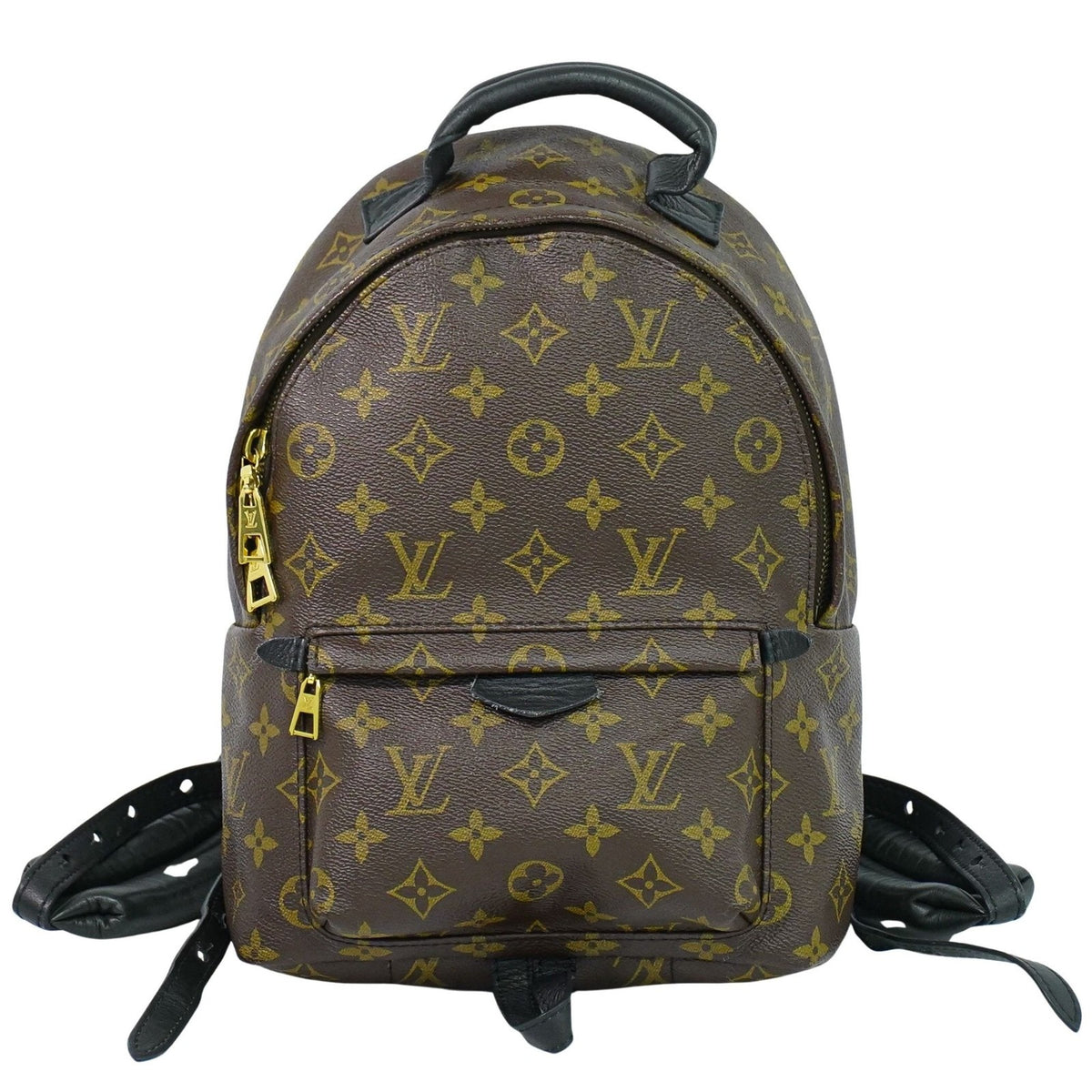 Louis Vuitton Palm Springs Backpack Monogram Canvas PM - image 1