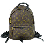 Louis Vuitton Palm Springs Backpack Monogram Canvas PM - image 1