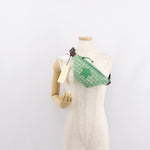 Gucci Waist Pouch Belt Bag GG Canvas - image 14