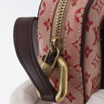 Louis Vuitton Juliette Crossbody Bag Mini Lin MM - image 14