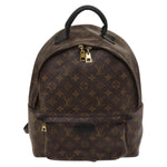 Louis Vuitton Palm Springs Backpack Monogram Canvas MM - image 1