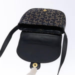 Celine C Sulky Shoulder bag Canvas and Leather - image 19