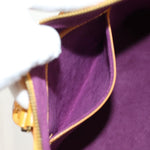 Louis Vuitton Alma Handbag Epi Leather PM - image 20