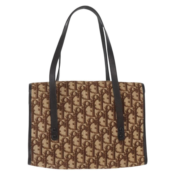 Christian Dior Trotter Canvas