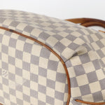 Louis Vuitton Riviera Handbag Damier MM - image 11