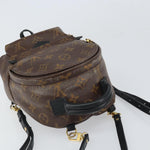 Louis Vuitton Palm Springs Backpack Monogram Canvas Mini - image 14