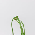 Hermes Vespa Pouch Leather - image 14